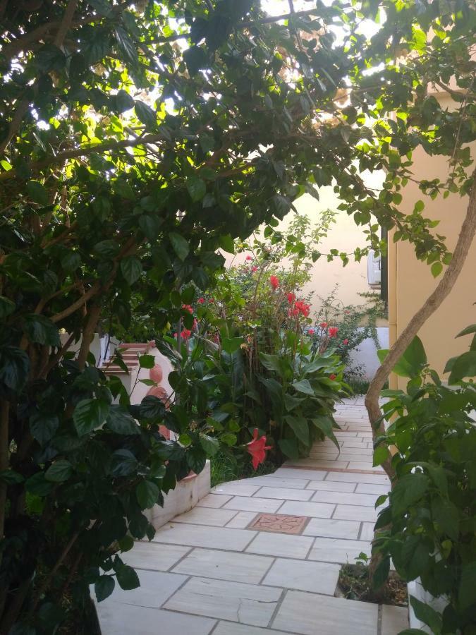 House With Garden Near The Sea Apartment Agia Efimia Bagian luar foto
